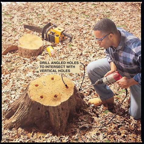 mini digger stump removal|DIY Tree Stump Removal .